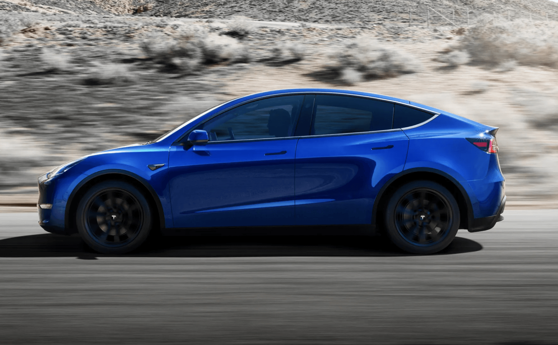 Tesla Model Y - Full Roof Window Tinting Kit